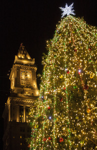 boston christmas tree lQZr